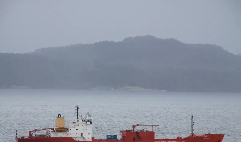 CEMENT SUPPLIER General Cargo IMO 7527849 photo 2