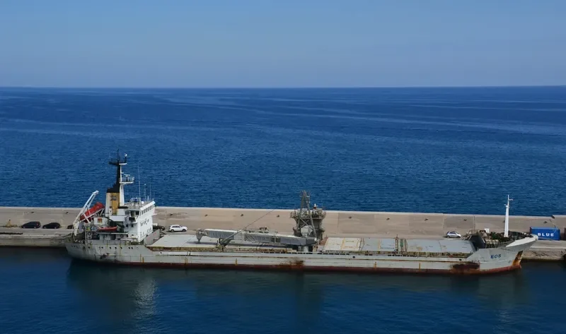 EOS Bulk Carrier IMO 7528154 photo 4
