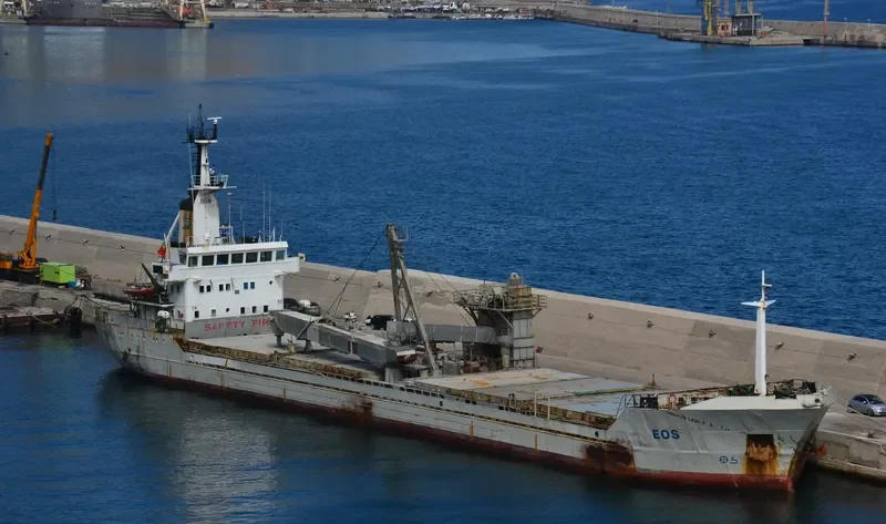 EOS Bulk Carrier IMO 7528154 photo 5