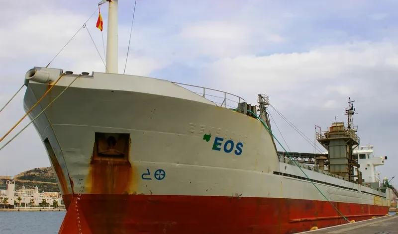 EOS Bulk Carrier IMO 7528154 photo 6