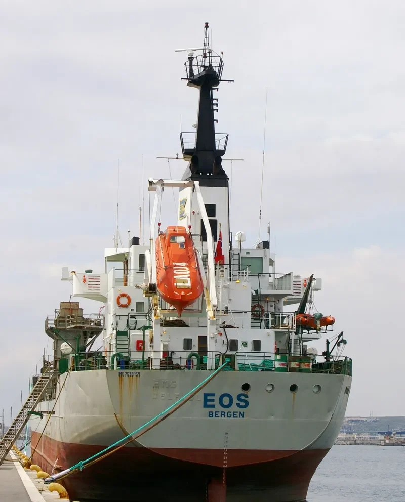 EOS Bulk Carrier IMO 7528154 photo 7