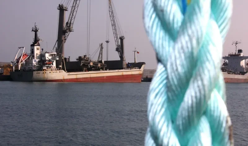 EOS Bulk Carrier IMO 7528154 photo 10