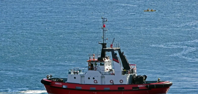 MAUNGATEA General Cargo IMO 7528166 photo 2