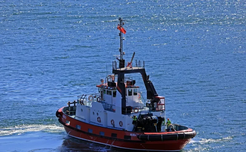 MAUNGATEA General Cargo IMO 7528166 photo 3