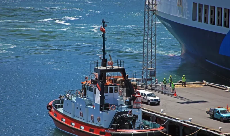 MAUNGATEA General Cargo IMO 7528166 photo 7