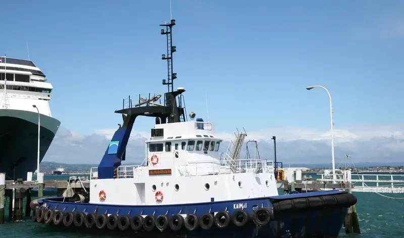 ALBA SAMUDERA 8 General Cargo IMO 7528178 photo 3