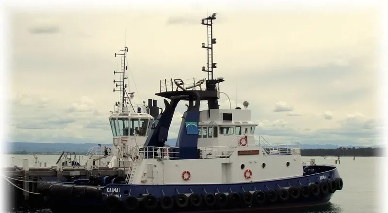 ALBA SAMUDERA 8 General Cargo IMO 7528178 photo 7