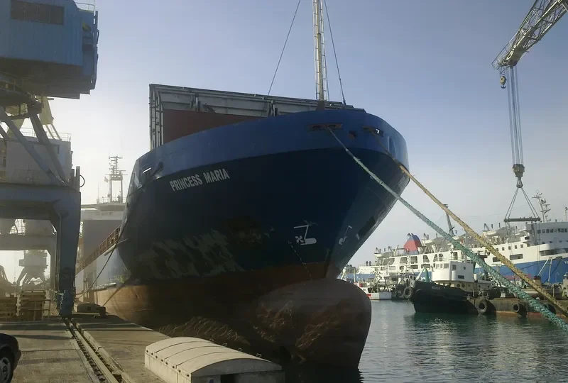 PRINCESS M General Cargo IMO 7528556 photo 5