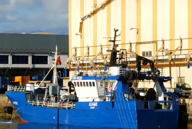 AL HAMD General Cargo IMO 7528984