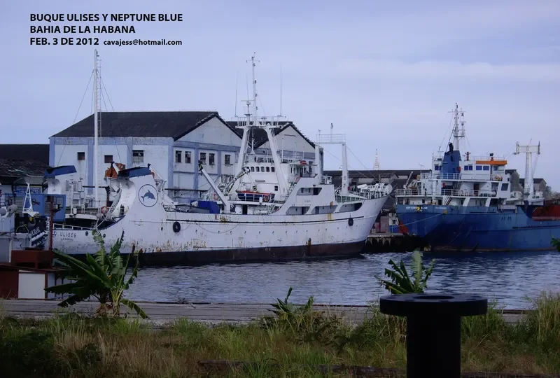 ATLANTIC VII General Cargo IMO 7529342 photo 3