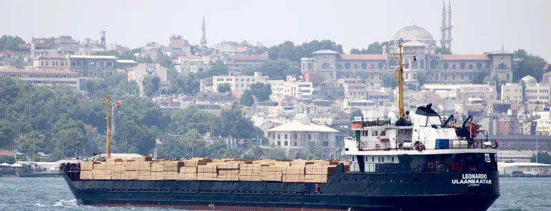 LEONARDO General Cargo IMO 7529641 photo 2