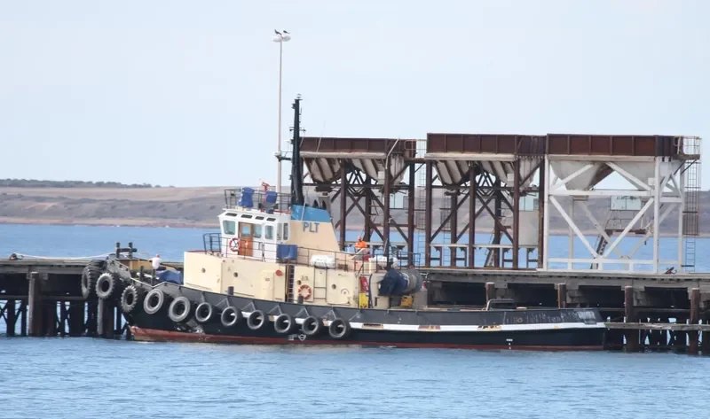 WANGARY Tug Boat IMO 7529809 photo 5
