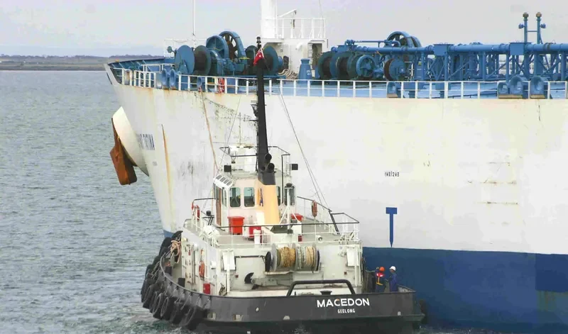 MACEDON Tug Boat IMO 7529811 photo 2