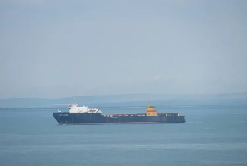 GEROITE NA SEVASTOPOL General Cargo IMO 7529976 photo 8