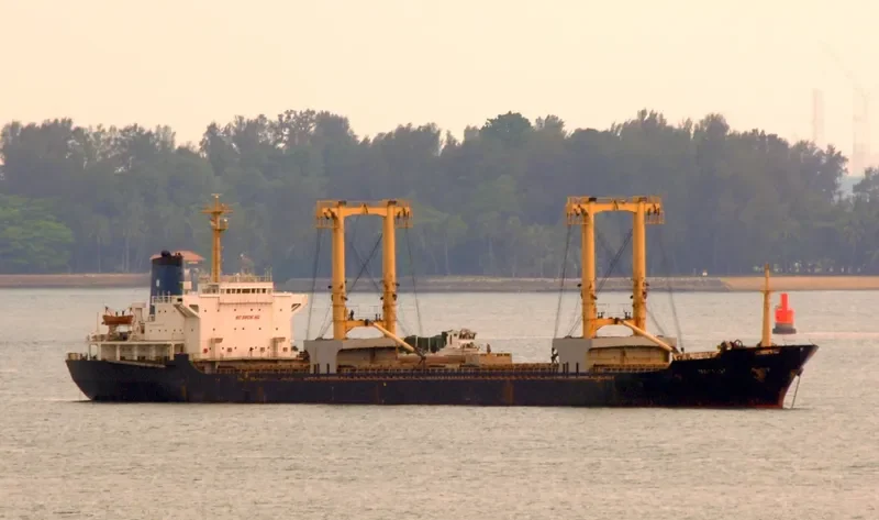 HARISSA Bulk Carrier IMO 7530418 photo 4