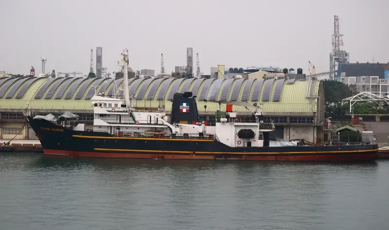SALVAGE CHAMPION General Cargo IMO 7530444 photo 2