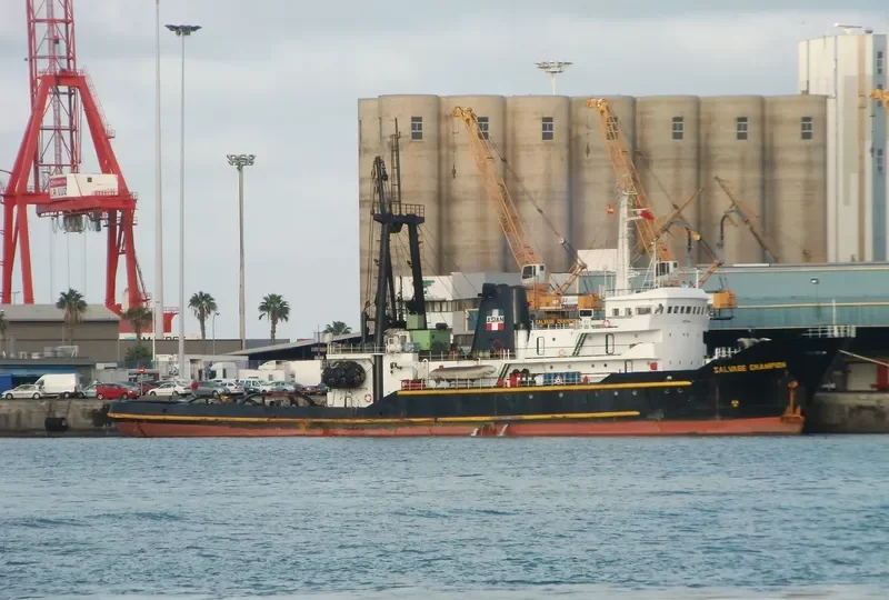 SALVAGE CHAMPION General Cargo IMO 7530444 photo 9