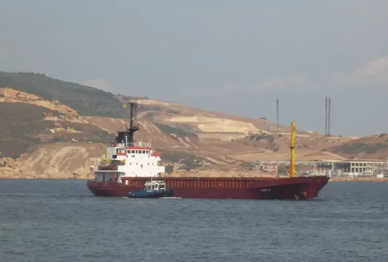 KAMELIA General Cargo IMO 7530860 photo 2