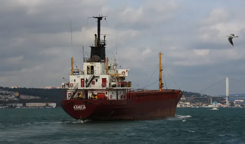 KAMELIA General Cargo IMO 7530860 photo 4