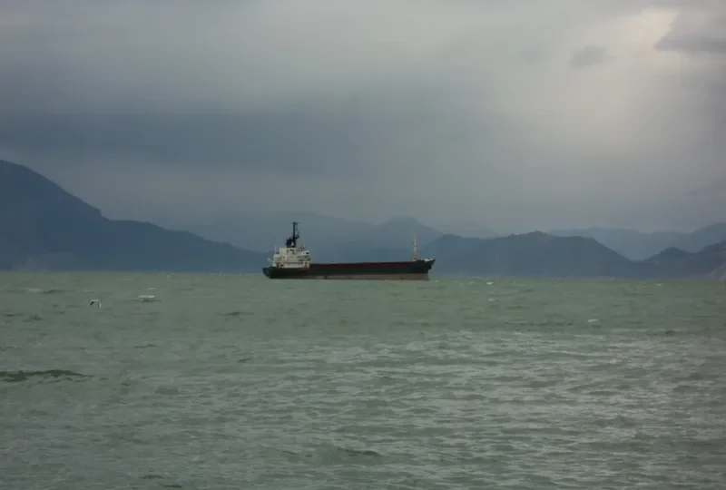 LEON General Cargo IMO 7530901 photo 7
