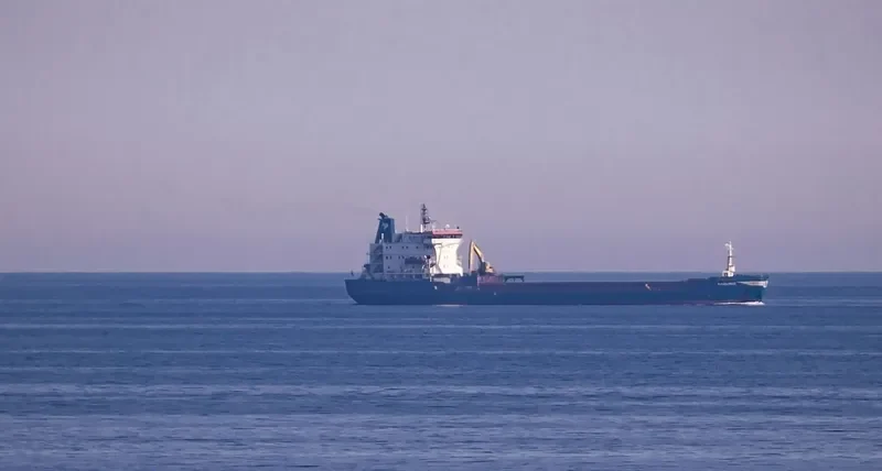 NAZLIKIZ Bulk Carrier IMO 7531369 photo 5