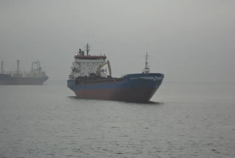 NAZLIKIZ Bulk Carrier IMO 7531369 photo 6