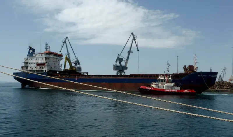NAZLIKIZ Bulk Carrier IMO 7531369 photo 10