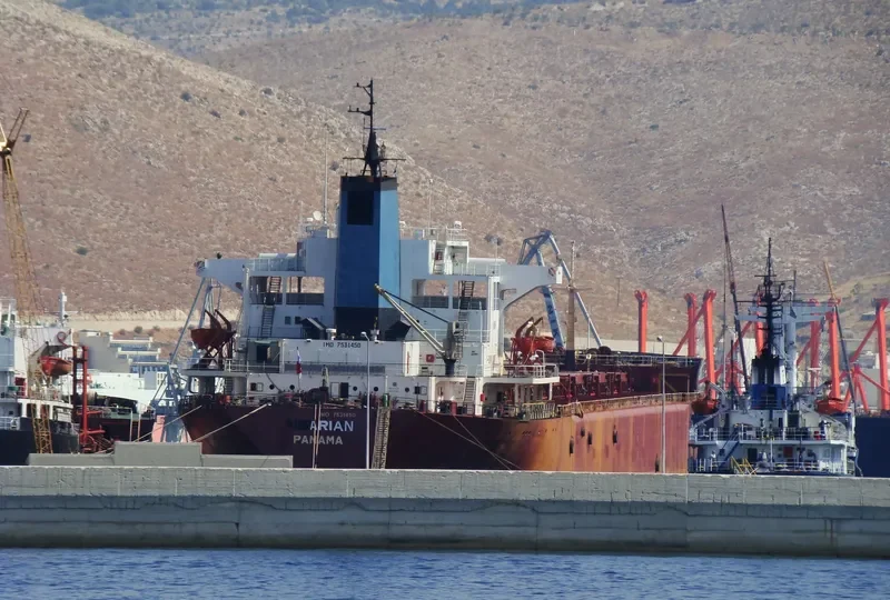 ARIAN Bulk Carrier IMO 7531450 photo 2