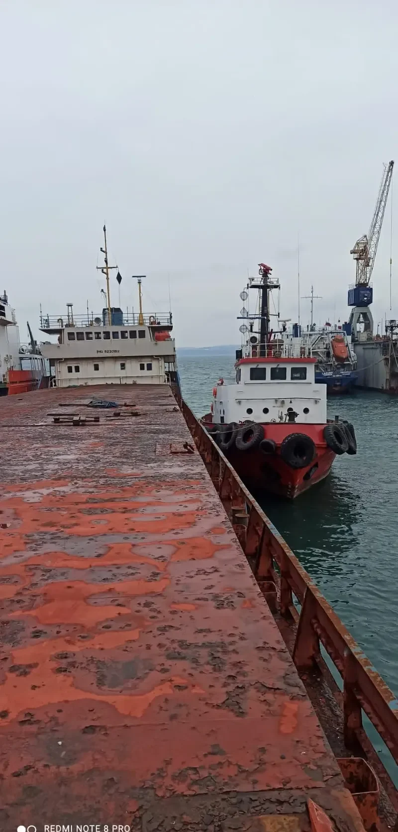 YUMURTALIK General Cargo IMO 7531761 photo 3