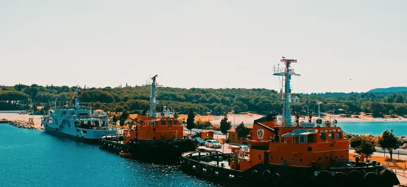 GOLOVASI General Cargo IMO 7531773 photo 2