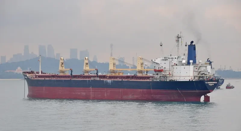 TJ ANDROMEDA Bulk Carrier IMO 7533111