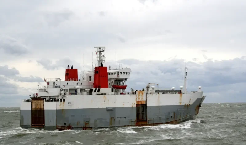 ELDUGA Ro-Ro IMO 7533393 photo 3