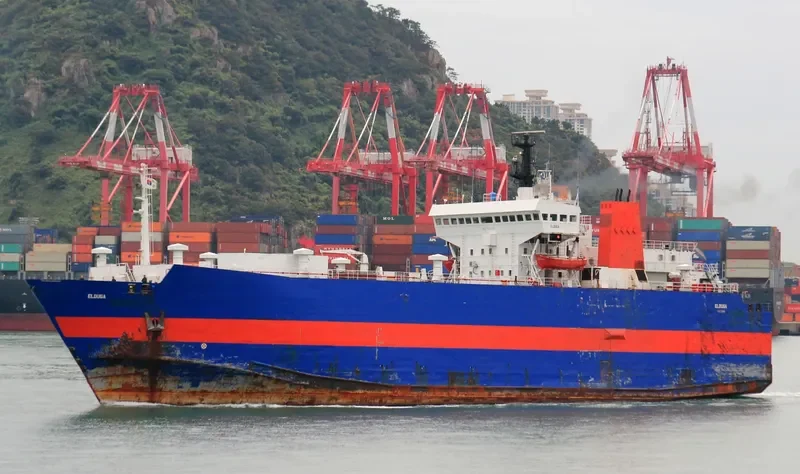 ELDUGA Ro-Ro IMO 7533393 photo 5
