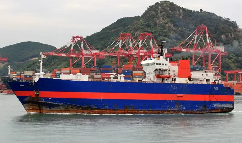 ELDUGA Ro-Ro IMO 7533393 photo 6