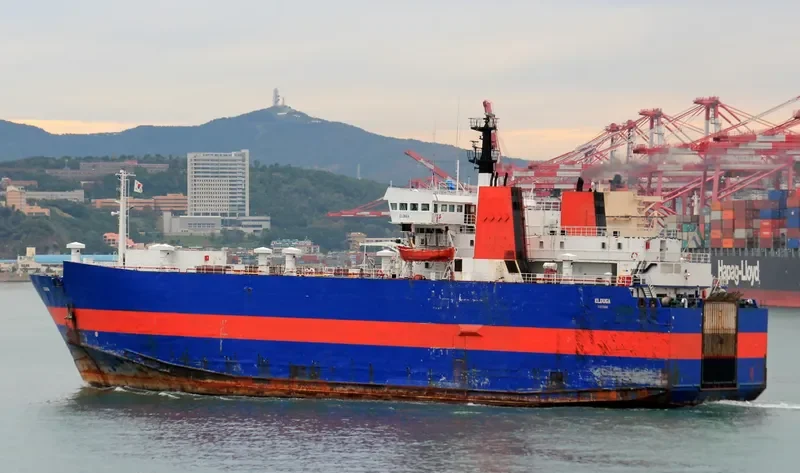 ELDUGA Ro-Ro IMO 7533393 photo 7