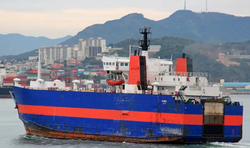 ELDUGA Ro-Ro IMO 7533393 photo 8