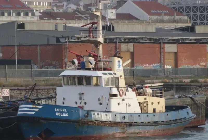 GOLIAS General Cargo IMO 7533666 photo 2