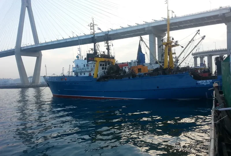 SVYATOY PETR General Cargo IMO 7534103