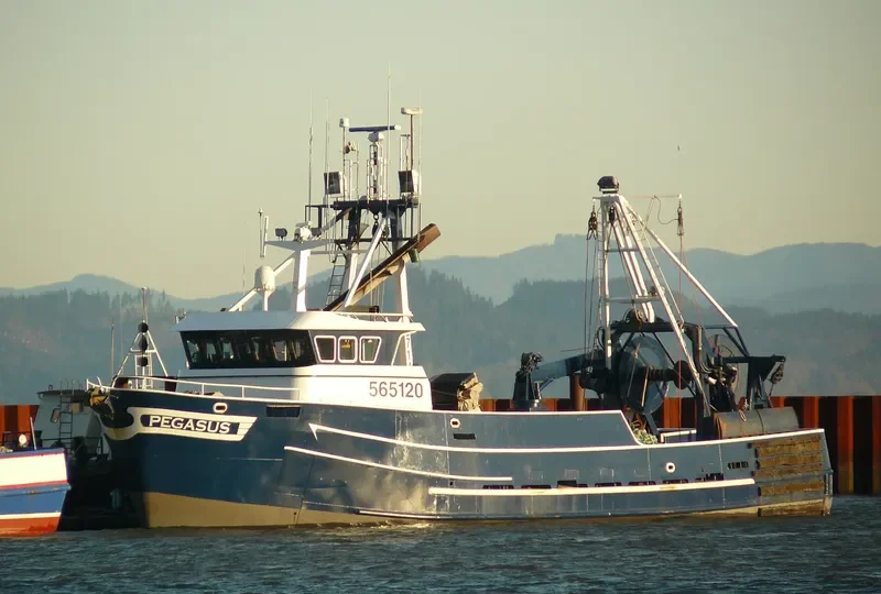 PEGASUS General Cargo IMO 7534646 photo 2