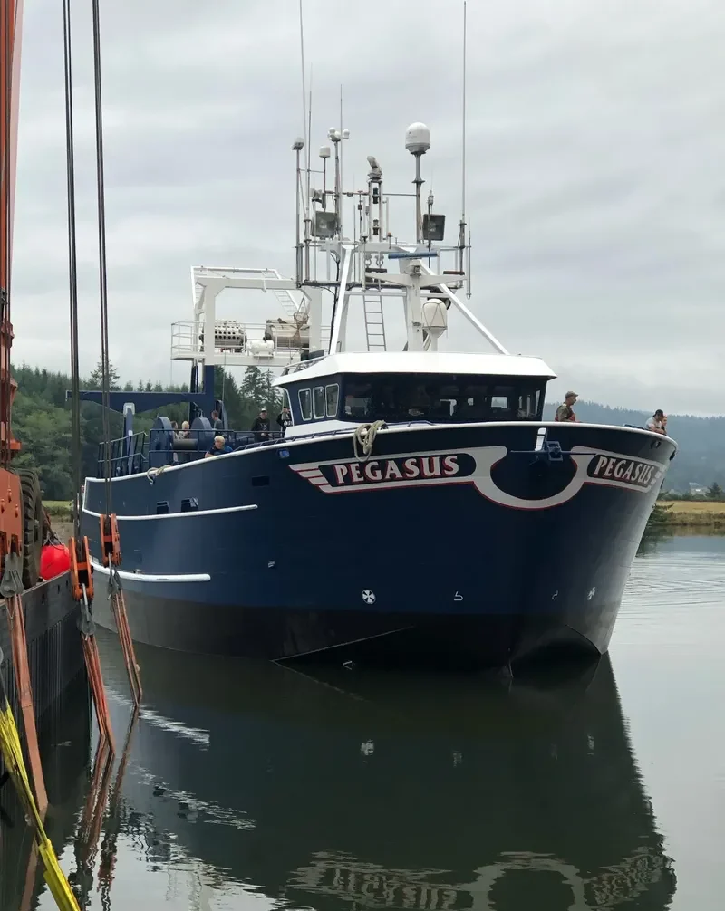 PEGASUS General Cargo IMO 7534646 photo 4