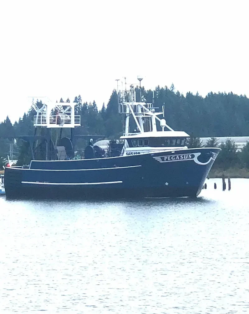 PEGASUS General Cargo IMO 7534646 photo 5