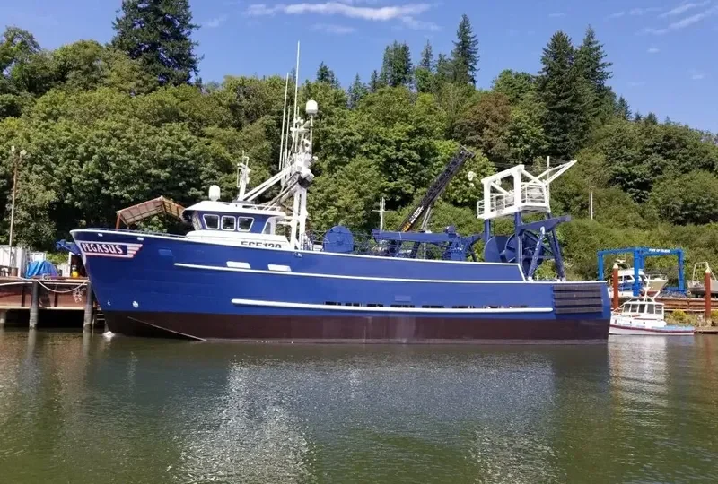 PEGASUS General Cargo IMO 7534646 photo 7