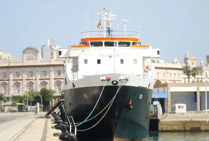 FES Ro-Ro IMO 7600005 photo 6