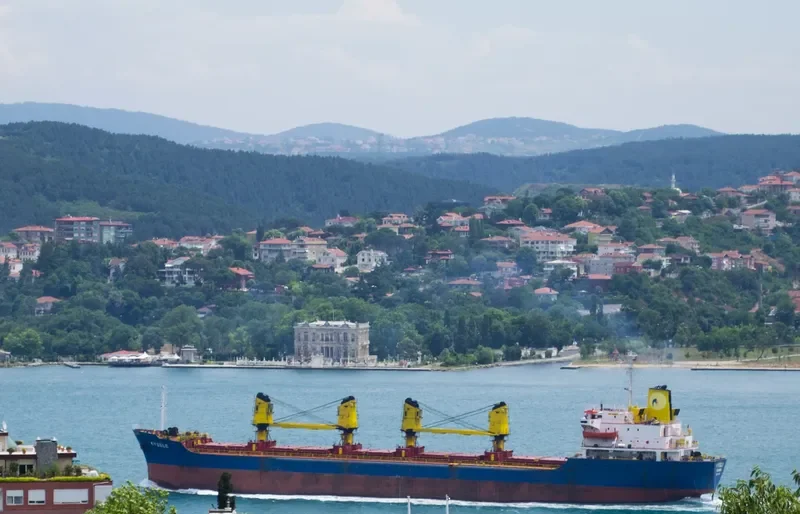 KYBELE Bulk Carrier IMO 7600067