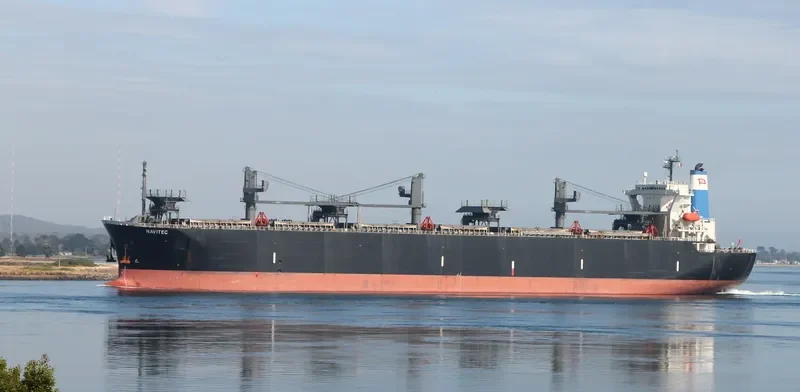 NAVITEC Bulk Carrier IMO 7600976 photo 2