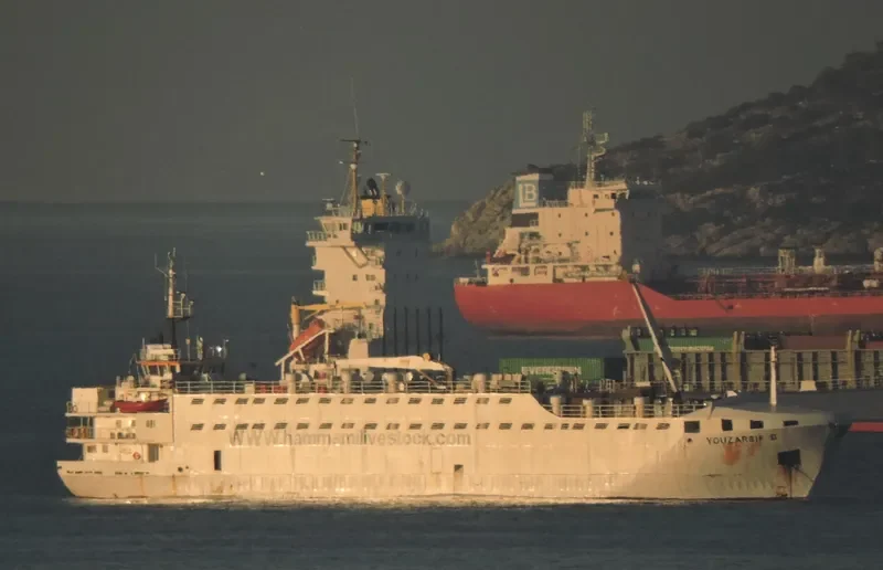ELITA General Cargo IMO 7601073