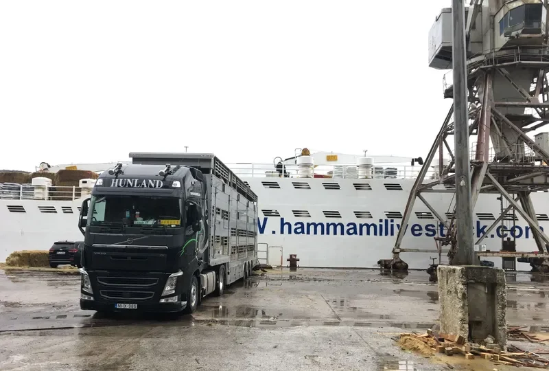 ELITA General Cargo IMO 7601073 photo 2