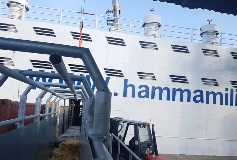 ELITA General Cargo IMO 7601073 photo 4