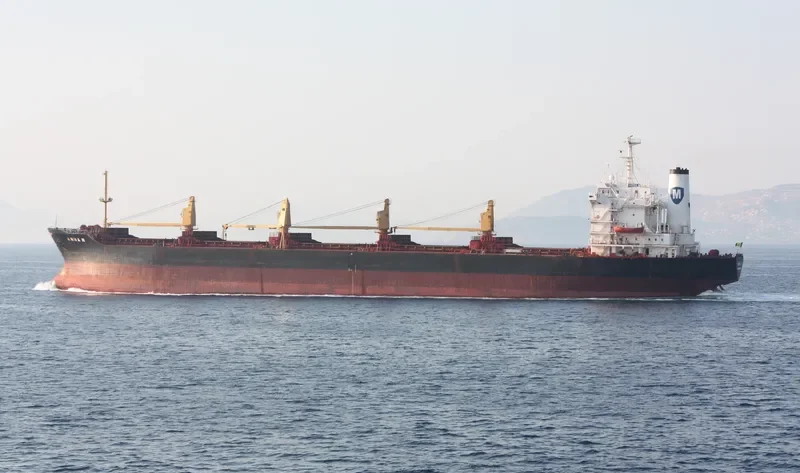 YOUNG LI Bulk Carrier IMO 7601621 photo 2