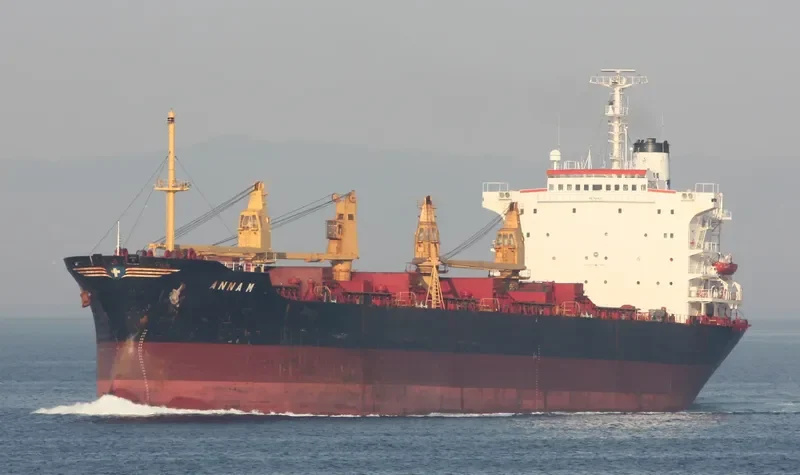 YOUNG LI Bulk Carrier IMO 7601621 photo 4